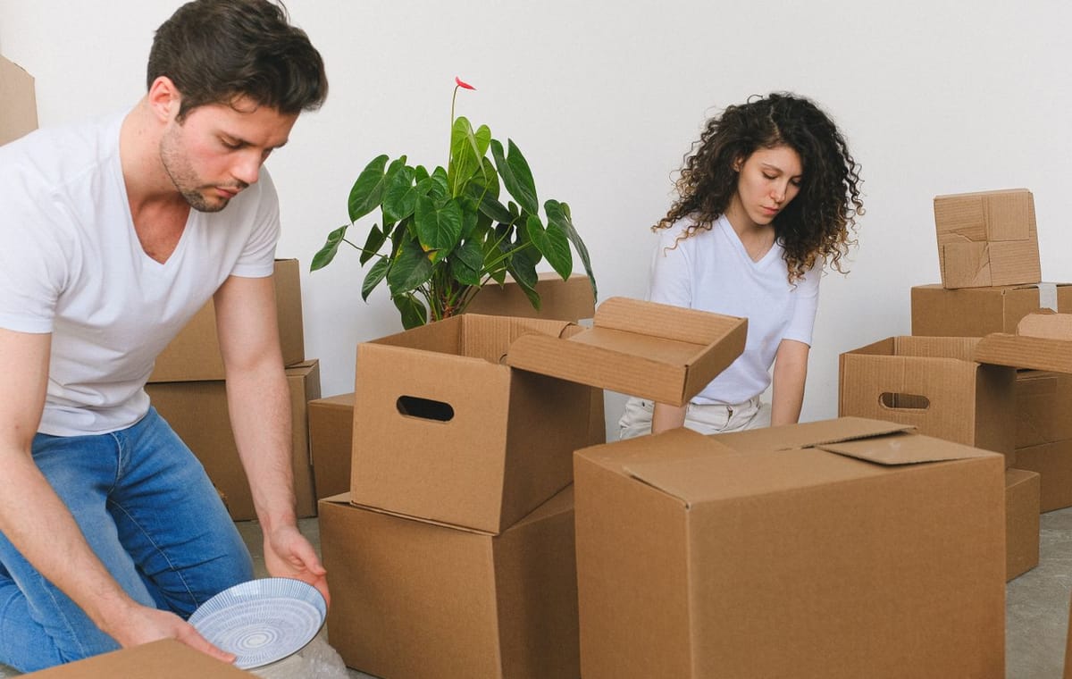 Bitlane Packing Services service